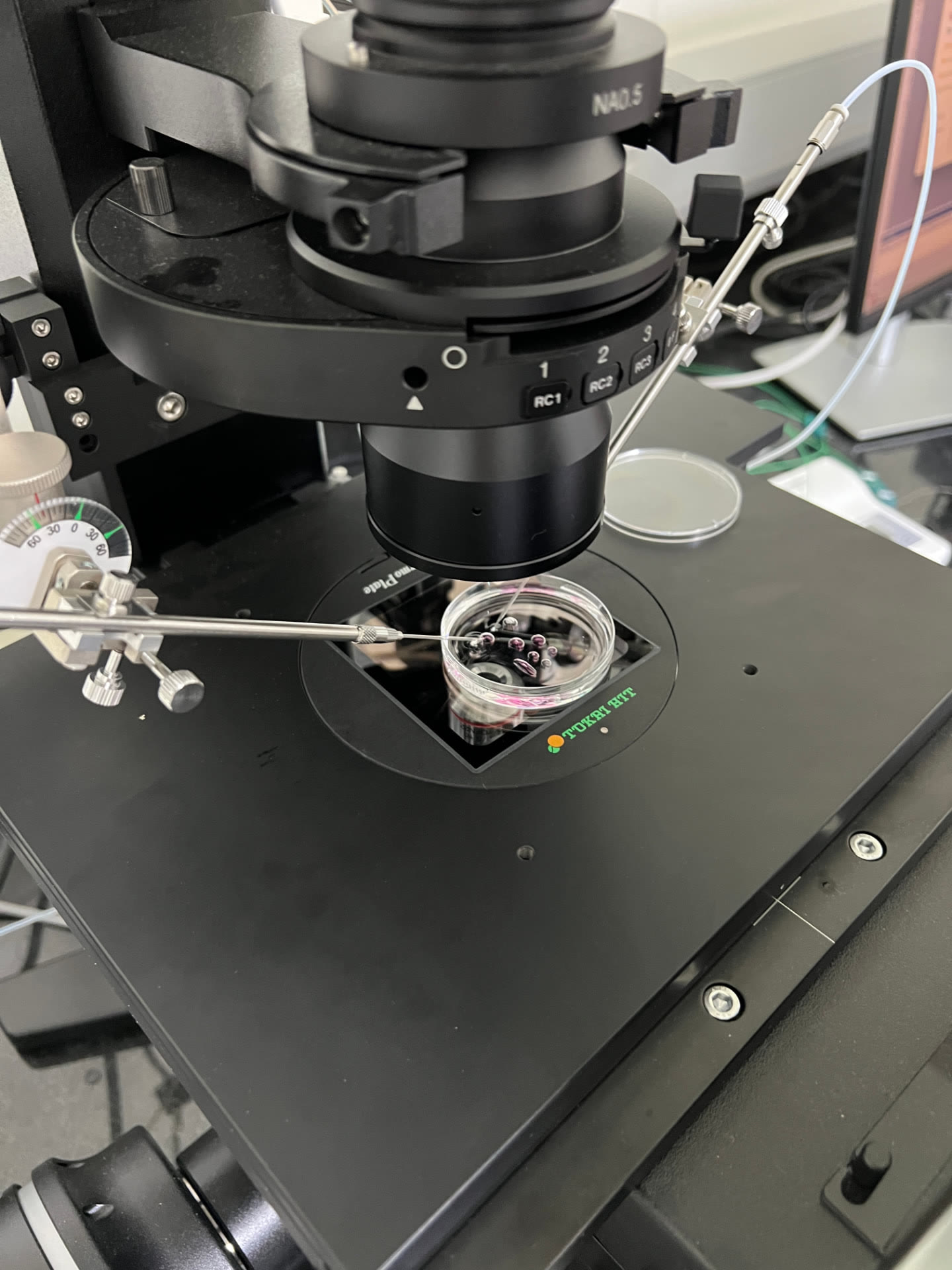 A micromanipulator rig with fine pipettes positioned over a culture dish on an inverted microscope.